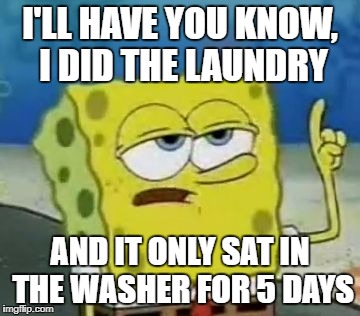I'll Have You Know Spongebob Meme | I'LL HAVE YOU KNOW, I DID THE LAUNDRY; AND IT ONLY SAT IN THE WASHER FOR 5 DAYS | image tagged in memes,ill have you know spongebob | made w/ Imgflip meme maker