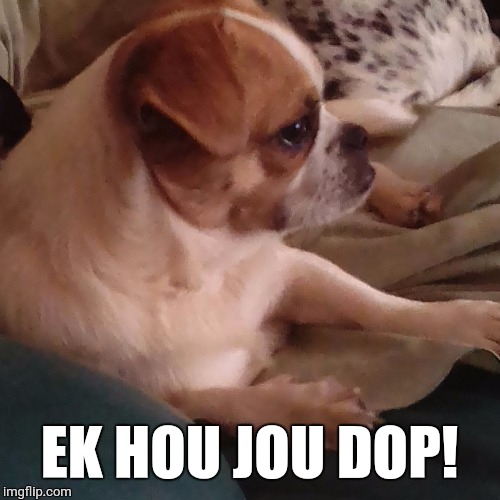 Lippie | EK HOU JOU DOP! | image tagged in lippie | made w/ Imgflip meme maker