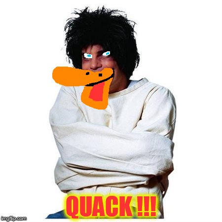 QUACK !!!                         (Dedicated to Dashhopes) | QUACK !!! | image tagged in staightjacket | made w/ Imgflip meme maker