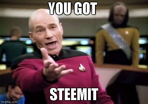 Picard Wtf Meme | YOU GOT; STEEMIT | image tagged in memes,picard wtf | made w/ Imgflip meme maker