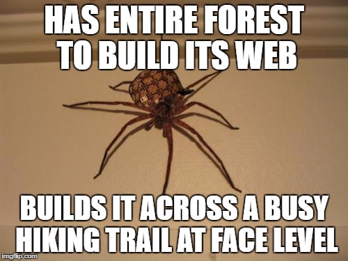 Scumbag Spider | HAS ENTIRE FOREST TO BUILD ITS WEB; BUILDS IT ACROSS A BUSY HIKING TRAIL AT FACE LEVEL | image tagged in scumbag spider,scumbag,AdviceAnimals | made w/ Imgflip meme maker
