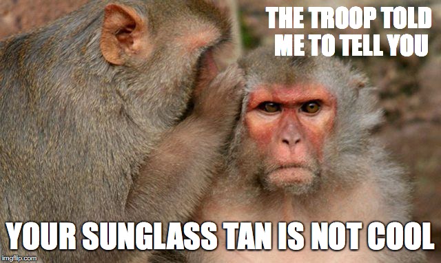 monkey | THE TROOP TOLD ME TO TELL YOU; YOUR SUNGLASS TAN IS NOT COOL | image tagged in monkey | made w/ Imgflip meme maker