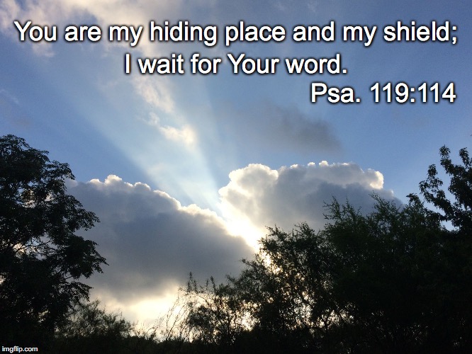 You are my hiding place and my shield;; I wait for Your word. Psa. 119:114 | image tagged in hiding place | made w/ Imgflip meme maker