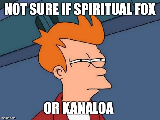Futurama Fry Meme | NOT SURE IF SPIRITUAL FOX OR KANALOA | image tagged in memes,futurama fry | made w/ Imgflip meme maker