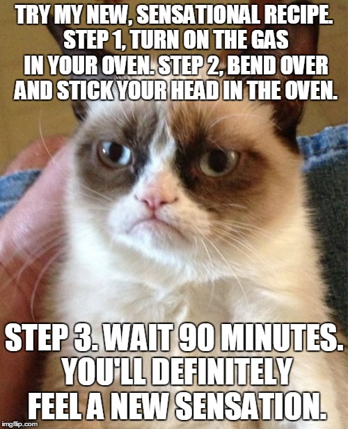 Grumpy Cat | TRY MY NEW, SENSATIONAL RECIPE. STEP 1, TURN ON THE GAS IN YOUR OVEN. STEP 2, BEND OVER AND STICK YOUR HEAD IN THE OVEN. STEP 3. WAIT 90 MINUTES. YOU'LL DEFINITELY FEEL A NEW SENSATION. | image tagged in memes,grumpy cat | made w/ Imgflip meme maker