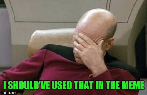 Captain Picard Facepalm Meme | I SHOULD'VE USED THAT IN THE MEME | image tagged in memes,captain picard facepalm | made w/ Imgflip meme maker