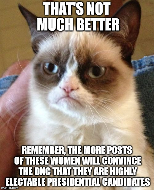 Grumpy Cat Meme | THAT'S NOT MUCH BETTER REMEMBER, THE MORE POSTS OF THESE WOMEN WILL CONVINCE THE DNC THAT THEY ARE HIGHLY ELECTABLE PRESIDENTIAL CANDIDATES | image tagged in memes,grumpy cat | made w/ Imgflip meme maker