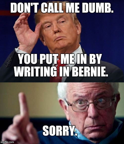Vote Bernie Sanders | DON'T CALL ME DUMB. YOU PUT ME IN BY WRITING IN BERNIE. SORRY. | image tagged in donald trump,wtf bernie sanders,im sorry,funny,hillary clinton 2016,vote bernie sanders | made w/ Imgflip meme maker