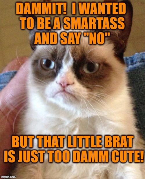 Grumpy Cat Meme | DAMMIT!  I WANTED TO BE A SMARTASS AND SAY "NO" BUT THAT LITTLE BRAT IS JUST TOO DAMM CUTE! | image tagged in memes,grumpy cat | made w/ Imgflip meme maker