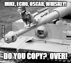 The new aiming system was very accurate, as long as the enemy looked like a dog. | MIKE, ECHO, OSCAR, WHISKEY! DO YOU COPY?  OVER! | image tagged in cats,i have an army,world of tanks | made w/ Imgflip meme maker