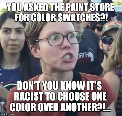 Who knew?  | YOU ASKED THE PAINT STORE FOR COLOR SWATCHES?! DON'T YOU KNOW IT'S RACIST TO CHOOSE ONE COLOR OVER ANOTHER?!... | image tagged in triggered feminist,triggered liberal,jbmemegeek,paint swatches | made w/ Imgflip meme maker