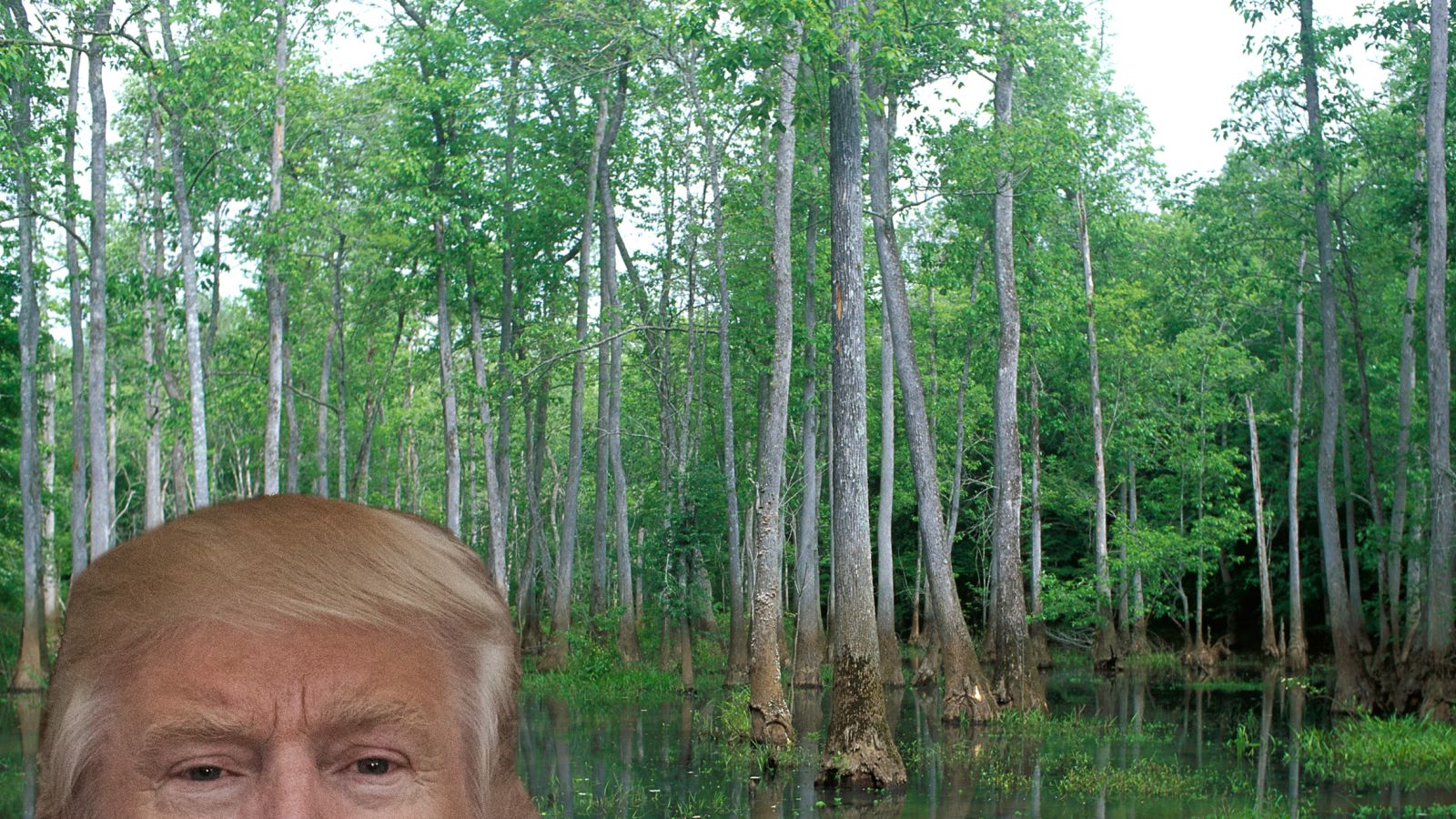 trump swamp Blank Meme Template