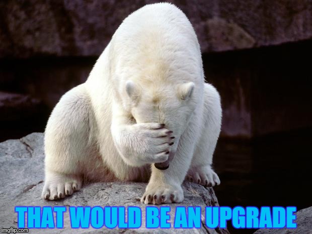 Polar Bear | THAT WOULD BE AN UPGRADE | image tagged in polar bear | made w/ Imgflip meme maker