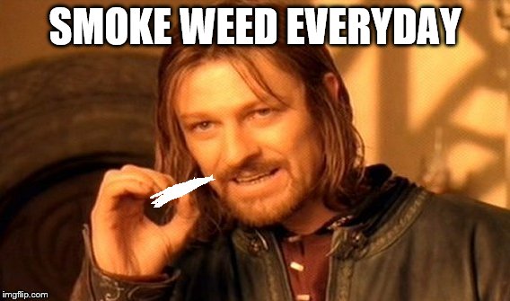 one does not simply smoke weed everyday | SMOKE WEED EVERYDAY | image tagged in memes,one does not simply | made w/ Imgflip meme maker