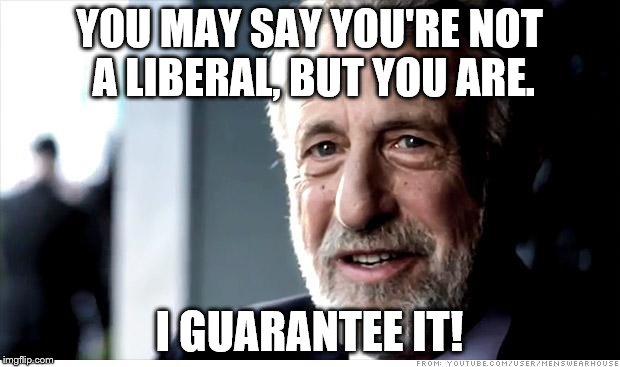 I Guarantee It | YOU MAY SAY YOU'RE NOT A LIBERAL, BUT YOU ARE. I GUARANTEE IT! | image tagged in memes,i guarantee it | made w/ Imgflip meme maker