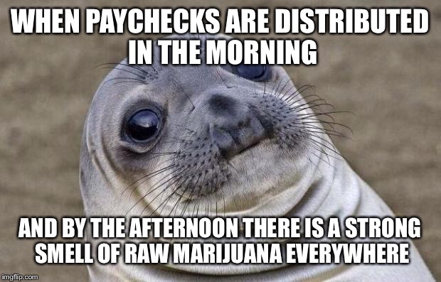 Awkward Moment Sealion | WHEN PAYCHECKS ARE DISTRIBUTED IN THE MORNING; AND BY THE AFTERNOON THERE IS A STRONG SMELL OF RAW MARIJUANA EVERYWHERE | image tagged in memes,awkward moment sealion | made w/ Imgflip meme maker