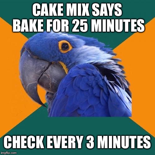 Paranoid Parrot Meme | CAKE MIX SAYS BAKE FOR 25 MINUTES; CHECK EVERY 3 MINUTES | image tagged in memes,paranoid parrot | made w/ Imgflip meme maker