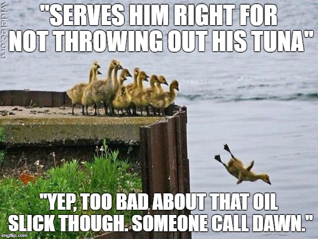 baby ducks | "SERVES HIM RIGHT FOR NOT THROWING OUT HIS TUNA"; "YEP, TOO BAD ABOUT THAT OIL SLICK THOUGH. SOMEONE CALL DAWN." | image tagged in baby ducks | made w/ Imgflip meme maker