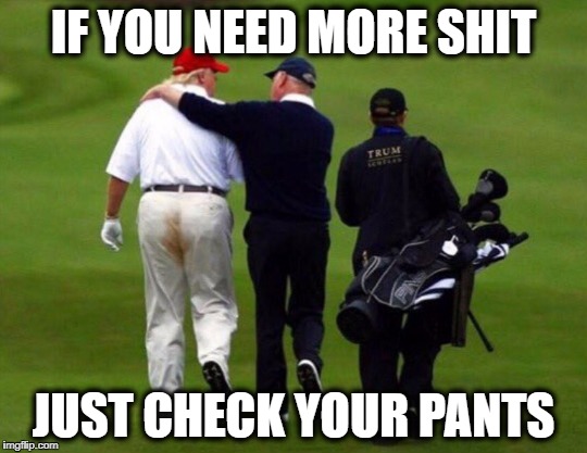 More Shit to do | IF YOU NEED MORE SHIT JUST CHECK YOUR PANTS | image tagged in more shit to do | made w/ Imgflip meme maker