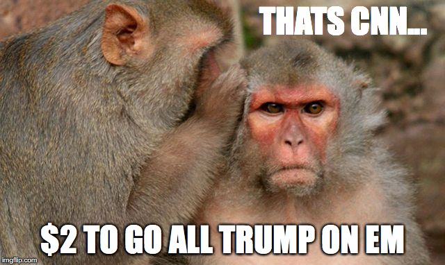 monkeys gonna go | THATS CNN... $2 TO GO ALL TRUMP ON EM | image tagged in monkey business | made w/ Imgflip meme maker