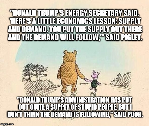 Pooh and Piglet | "DONALD TRUMP'S ENERGY SECRETARY SAID, 'HERE'S A LITTLE ECONOMICS LESSON: SUPPLY AND DEMAND. YOU PUT THE SUPPLY OUT THERE AND THE DEMAND WILL FOLLOW,''' SAID PIGLET. "DONALD TRUMP'S ADMINISTRATION HAS PUT OUT QUITE A SUPPLY OF STUPID PEOPLE, BUT I DON'T THINK THE DEMAND IS FOLLOWING," SAID POOH. | image tagged in pooh and piglet | made w/ Imgflip meme maker