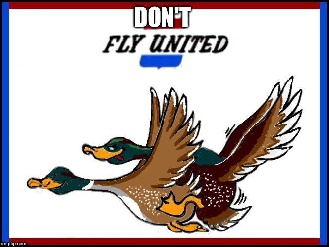 Unfriendly skies of United  | DON'T | image tagged in united airlines | made w/ Imgflip meme maker