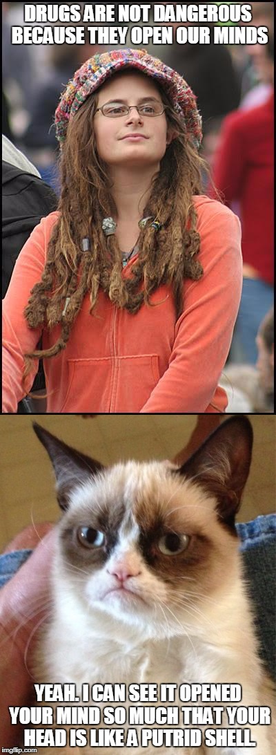 It explains a lot about her behavior. | DRUGS ARE NOT DANGEROUS BECAUSE THEY OPEN OUR MINDS; YEAH. I CAN SEE IT OPENED YOUR MIND SO MUCH THAT YOUR HEAD IS LIKE A PUTRID SHELL. | image tagged in college liberal,grumpy cat | made w/ Imgflip meme maker