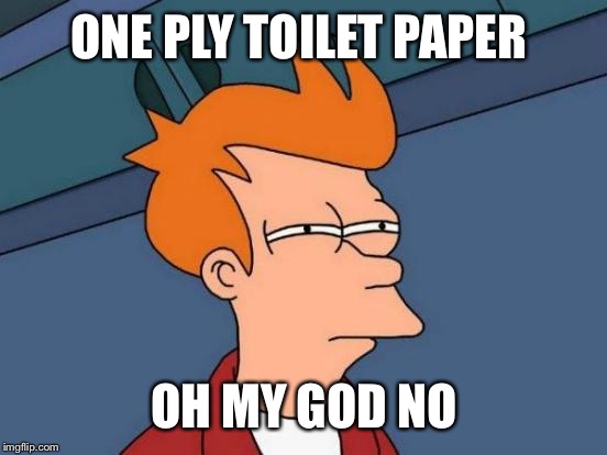 Futurama Fry Meme | ONE PLY TOILET PAPER OH MY GOD NO | image tagged in memes,futurama fry | made w/ Imgflip meme maker