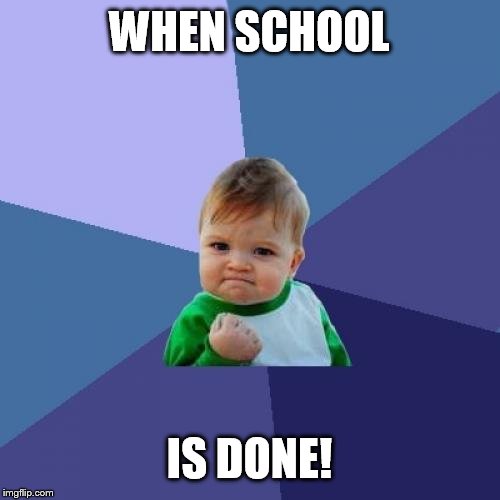 Success Kid Meme | WHEN SCHOOL; IS DONE! | image tagged in memes,success kid | made w/ Imgflip meme maker