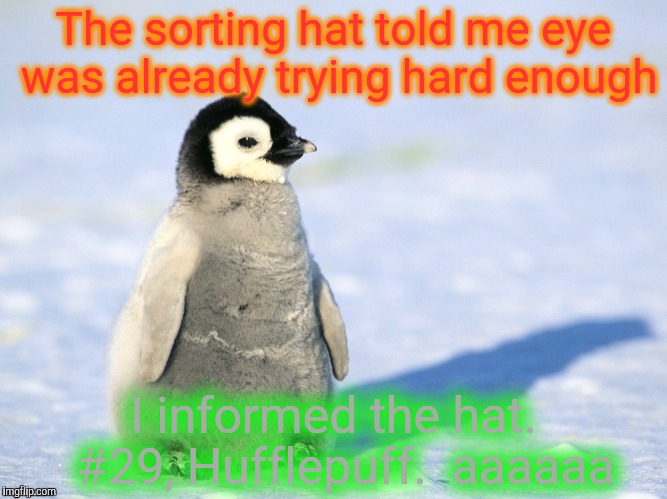The sorting hat told me eye was already trying hard enough I informed the hat.  #29, Hufflepuff.  aaaaaa | made w/ Imgflip meme maker