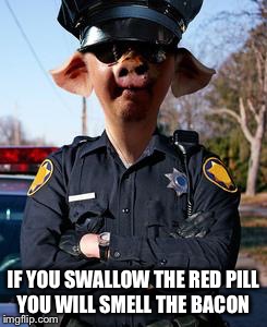 IF YOU SWALLOW THE RED PILL YOU WILL SMELL THE BACON | made w/ Imgflip meme maker