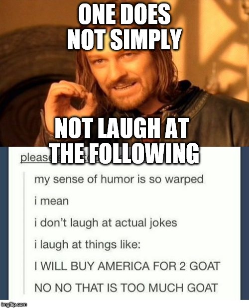 Tumblr Joke | ONE DOES NOT SIMPLY; NOT LAUGH AT THE FOLLOWING | image tagged in tumblr | made w/ Imgflip meme maker