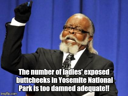 #ThanksForTheFreeShow | The number of ladies' exposed buttcheeks in Yosemite National Park is too damned adequate!! | image tagged in memes,too damn high | made w/ Imgflip meme maker