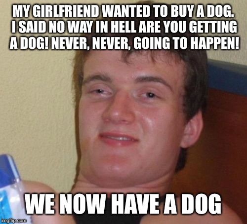 Now take him for a walk dear | MY GIRLFRIEND WANTED TO BUY A DOG. I SAID NO WAY IN HELL ARE YOU GETTING A DOG! NEVER, NEVER, GOING TO HAPPEN! WE NOW HAVE A DOG | image tagged in memes,10 guy,funny | made w/ Imgflip meme maker