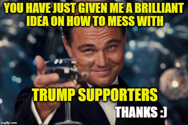 YOU HAVE JUST GIVEN ME A BRILLIANT IDEA ON HOW TO MESS WITH TRUMP SUPPORTERS THANKS :) | image tagged in memes,leonardo dicaprio cheers | made w/ Imgflip meme maker