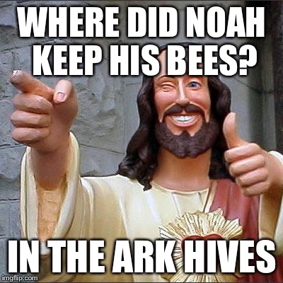Buddy Christ |  WHERE DID NOAH KEEP HIS BEES? IN THE ARK HIVES | image tagged in memes,buddy christ | made w/ Imgflip meme maker