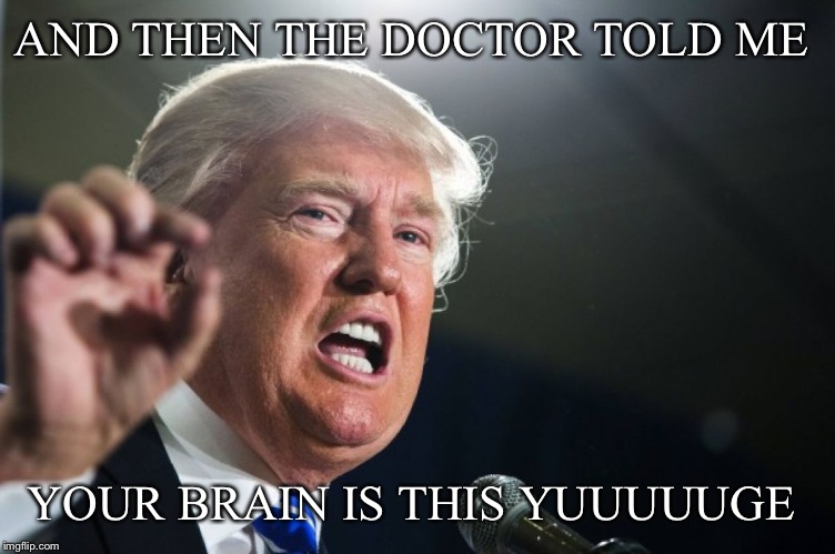 donald trump | AND THEN THE DOCTOR TOLD ME; YOUR BRAIN IS THIS YUUUUUGE | image tagged in donald trump | made w/ Imgflip meme maker