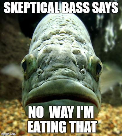 SKEPTICAL BASS SAYS NO  WAY I'M EATING THAT | made w/ Imgflip meme maker