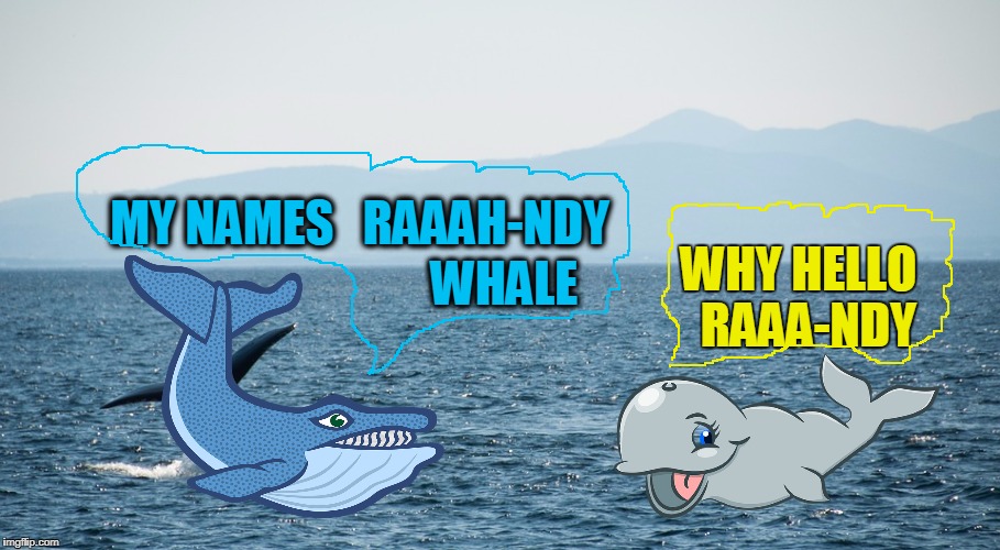 MY NAMES   RAAAH-NDY; WHALE; WHY HELLO  RAAA-NDY | made w/ Imgflip meme maker