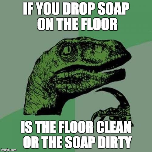 Philosoraptor | IF YOU DROP SOAP ON THE FLOOR; IS THE FLOOR CLEAN OR THE SOAP DIRTY | image tagged in memes,philosoraptor | made w/ Imgflip meme maker