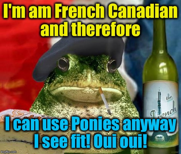 I'm am French Canadian and therefore I can use Ponies anyway I see fit! Oui oui! | made w/ Imgflip meme maker