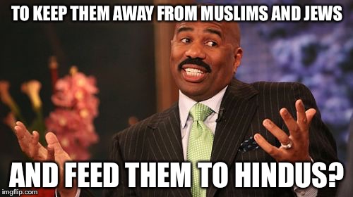 Steve Harvey Meme | TO KEEP THEM AWAY FROM MUSLIMS AND JEWS AND FEED THEM TO HINDUS? | image tagged in memes,steve harvey | made w/ Imgflip meme maker