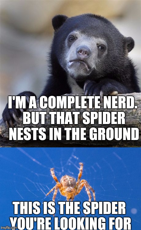 I'M A COMPLETE NERD. BUT THAT SPIDER NESTS IN THE GROUND THIS IS THE SPIDER YOU'RE LOOKING FOR | made w/ Imgflip meme maker