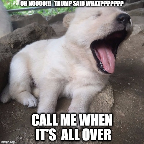 bored puppy | OH NOOOO!!!   TRUMP SAID WHAT??????? CALL ME WHEN IT'S  ALL OVER | image tagged in bored puppy | made w/ Imgflip meme maker