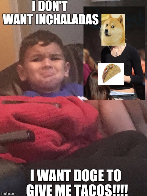 I DON'T WANT INCHALADAS; I WANT DOGE TO GIVE ME TACOS!!!! | image tagged in when mom says there is no more tacos | made w/ Imgflip meme maker