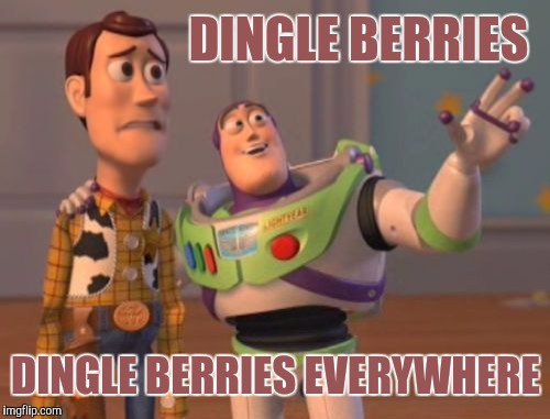 X, X Everywhere Meme | DINGLE BERRIES DINGLE BERRIES EVERYWHERE | image tagged in memes,x x everywhere | made w/ Imgflip meme maker