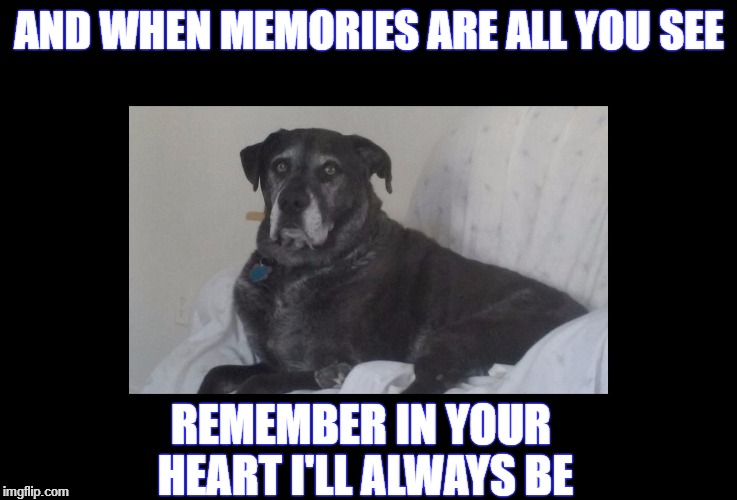 Rest in peace my boy | AND WHEN MEMORIES ARE ALL YOU SEE; REMEMBER IN YOUR HEART I'LL ALWAYS BE | image tagged in goodbye,dog | made w/ Imgflip meme maker