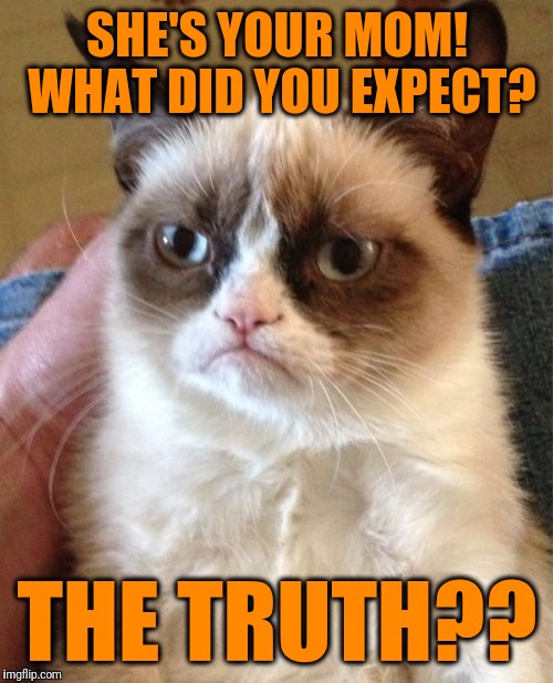 Grumpy Cat Meme | SHE'S YOUR MOM! WHAT DID YOU EXPECT? THE TRUTH?? | image tagged in memes,grumpy cat | made w/ Imgflip meme maker