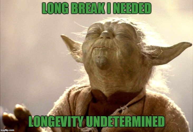 Yoda Is Very Pleased | LONG BREAK I NEEDED LONGEVITY UNDETERMINED | image tagged in yoda is very pleased | made w/ Imgflip meme maker
