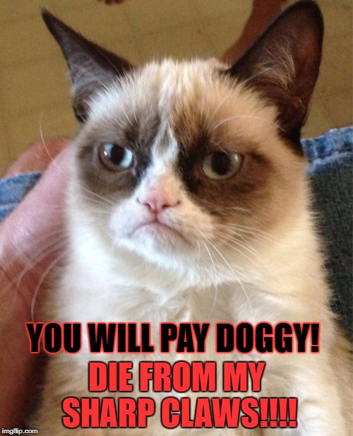 Grumpy Cat Meme | DIE FROM MY SHARP CLAWS!!!! YOU WILL PAY DOGGY! | image tagged in memes,grumpy cat | made w/ Imgflip meme maker